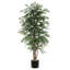 Arbre 72 po Smilax-101485053