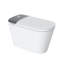 Toilette intelligente avec score de chasse de 1 000 g MaP, bouclier en mousse, chasse occultante, séchage à chaud, ouverture et fermeture automatique avec capteur de vagues, stérilisation à l'eau par UV, télécommande sans fil, désodorisation intelligente-120764172