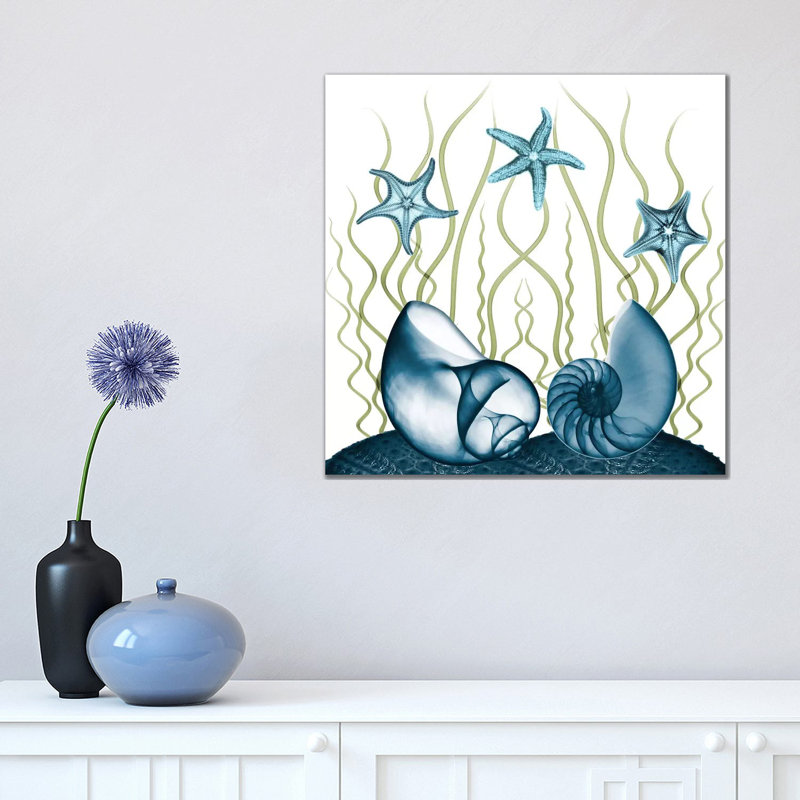 Majestic Sea Floor II by Albert Koetsier - Print on Canvas, 45.72cm H x 45.72cm W x 3.81cm D, Wrapped Canvas