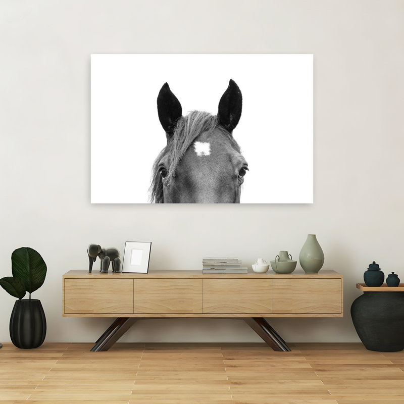 «Peeking Horse», art mural cheval contemporain