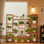 Grand support à plantes pour l'intérieur et l'extérieur pour plusieurs plantes