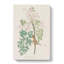 White Eyed Flycatcher Bird by John Audubon - Wrapped Canvas Painting-55305520