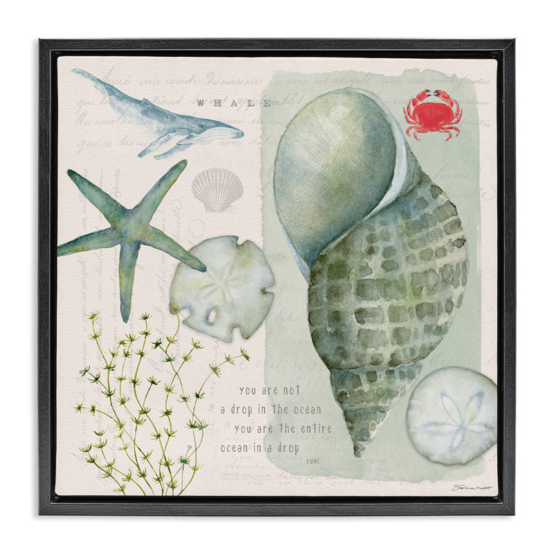 Collage inspirant des coquillages, H 18 po x l 18 po, Cadre flottant noir de jais