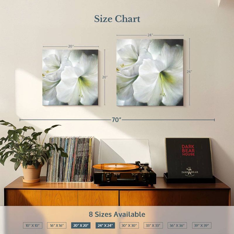 Harnek White Amaryllis II