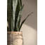 Bohemian Pots Handmade Cement/Bamboo Planter