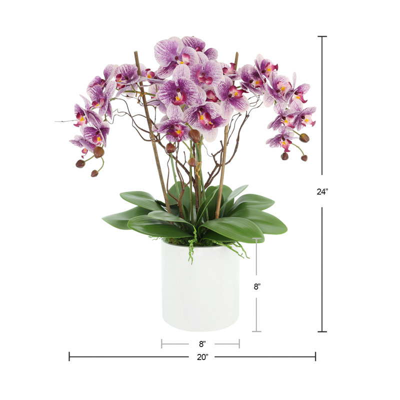 Orchids Arranged in Fiberstone Planter, Purple