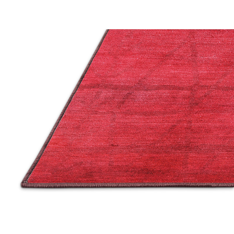 Altynay Moroccan Indoor Rug, Runner 2' x 5'
