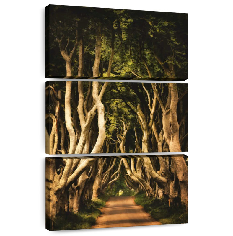 Harnek Ireland's Dark Hedges, 32" H x 20" W