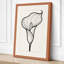 Calla Lily Study Botanical - Wrapped Canvas-1513520340-1513520170
