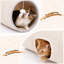 Cage pour chat Ellswerth-844115112
