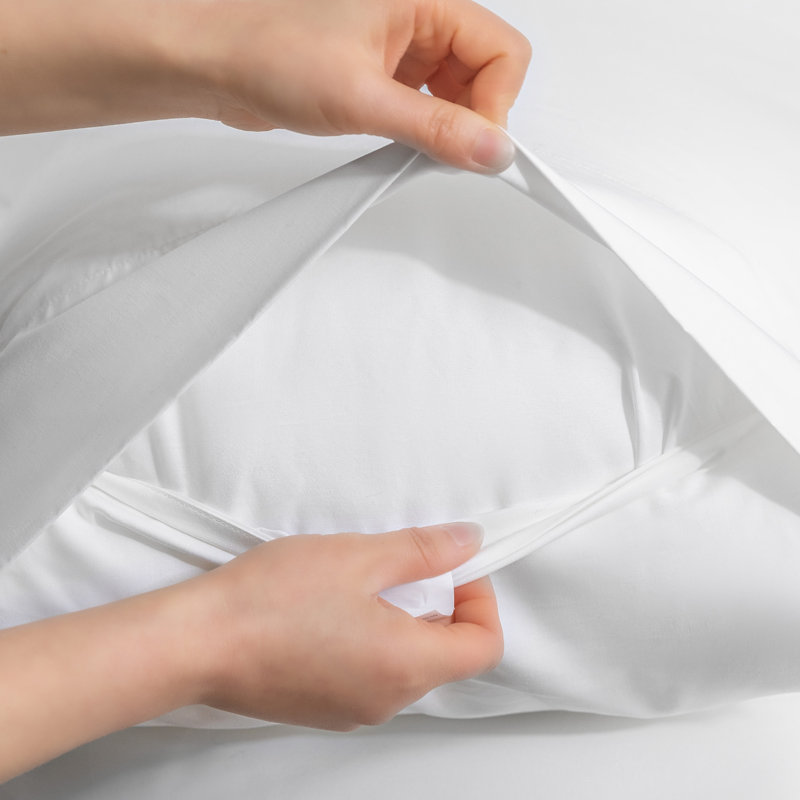 Ensemble de draps soyeux en rayonne de bambou rafraîchissant avec taie d'oreiller, Blanc