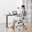 SIHOO Office Chair with Headrest-2127508757-2127508759