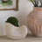 8.5X5.5X6.3" Sand And Cement Nautilus Shell Planter With Textured Beige Finish-651445517