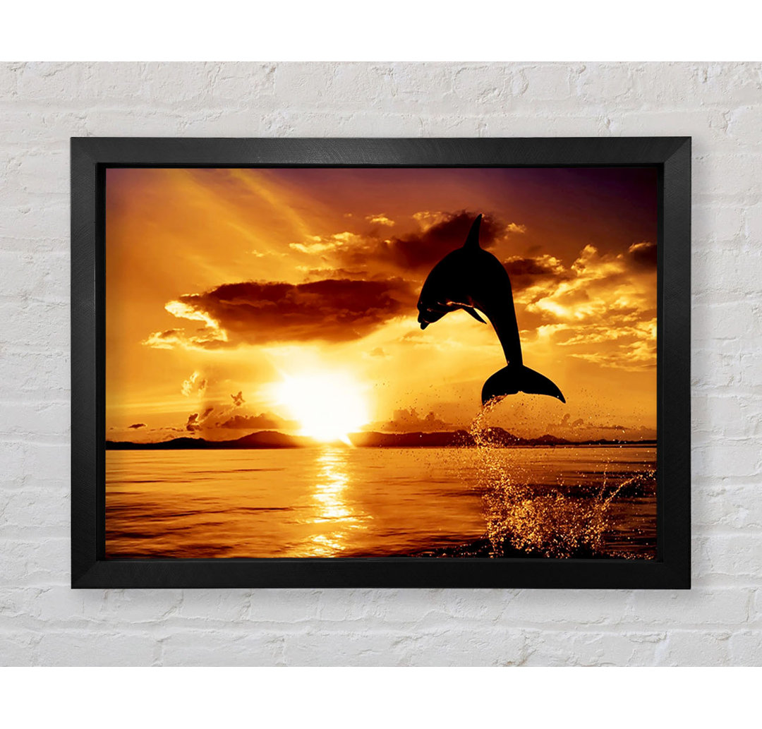 Gerahmtes Bild Dolphin Sunset