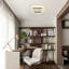Acrylic LED Flush Mount
