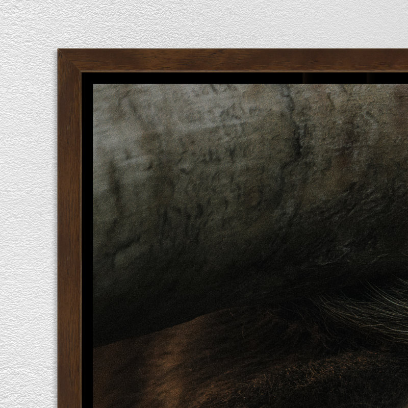 Hidden Eyes Print by Adam Mowery, 31.75" H x 51.75" W, Image Brush Gel