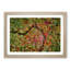 Road Through the Forest - Picture Frame Graphic Art Print-55758668-55758672
