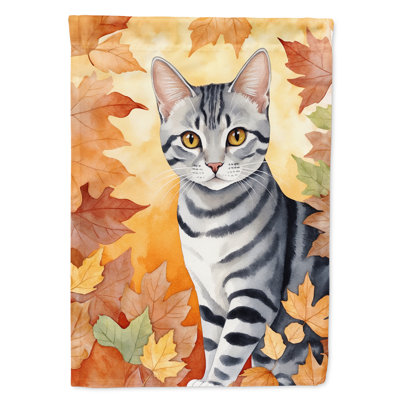 Chat en feuilles d'automne