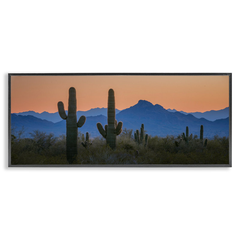 Contrast Desert Sunset, art de la giclée encadrée par Marty Hulsebos, H 10 po x l 24 po, Giclée encadrée noir minuit