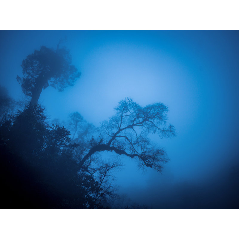 «Hanging on» par Mark Paulda - photographie, Toile tendue, H 24 po x l 32 po