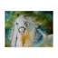 Duniya «White Cloud The Andalusian Stallion», reproduction de peinture acrylique sur toile tendue-29769689