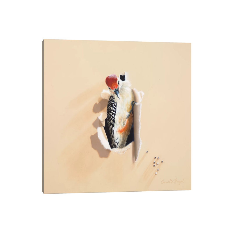 Sharp Dressed Man by Camille Engel - Wrapped Canvas Print, 30.48cm H x 30.48cm W x 1.91cm D