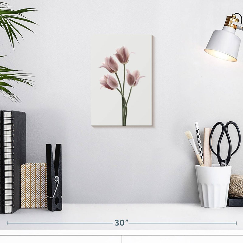 Harnek tulipes rose, H 12 po x l 8 po
