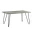 Table à manger à la mode 5 pièces: table rectangulaire et chaises en velours gris en métal avec forme de chaise