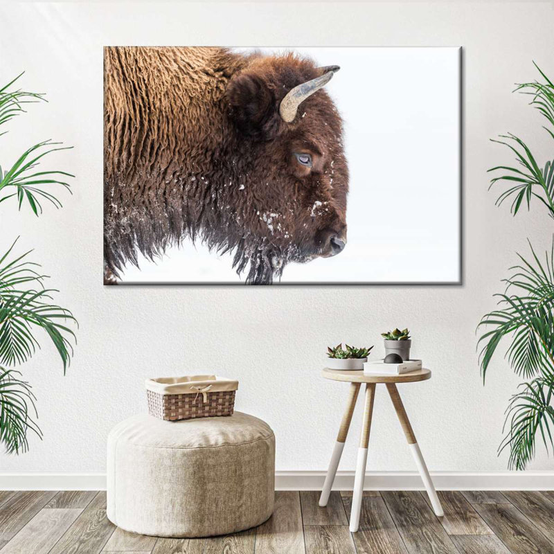 Bison d'hiver sur toile, H 16 po x l 24 po x P 1,25 po