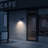 Nox Iron LED Wall Light