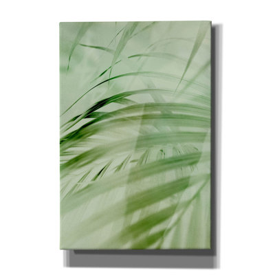 " Sage Palm " by Incado