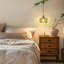 2 - Light Chandelier