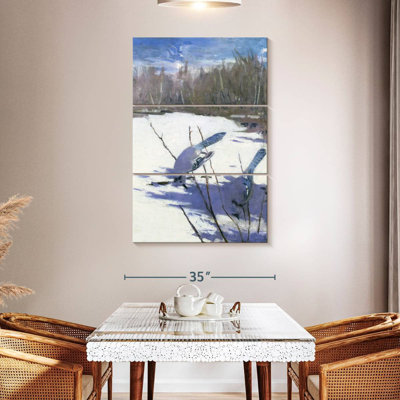 Brampt Blue Jays en hiver