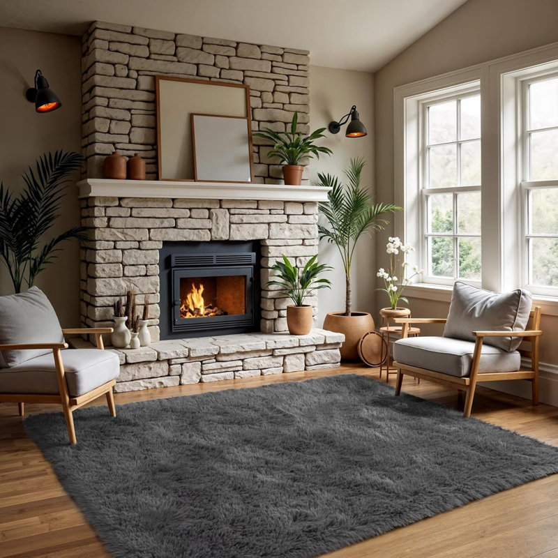 Area Rugs For Living Room Grey Rugs For Bedroom Carpet Fluffy Furry Soft Shag Aesthetic Plush High Pile Gray Throw Rug For Nursery Kids Room Dorm