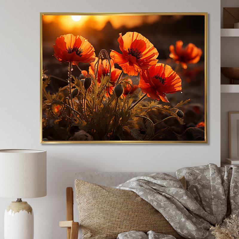 Coucher de soleil coquelicots dans la prairie, Cadre flottant doré, H 16 po x l 32 po
