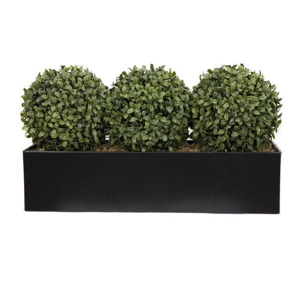 Topiary Ball (54cm) Window Box Black, Triple, Black