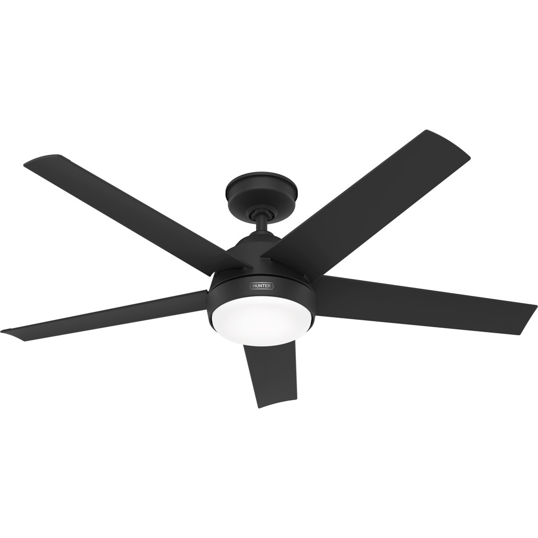 Skyflow 52" 5-Blade Standard WeatherMax Indoor/Outdoor Ceiling Fan with Lights and Wall Control Hunter Fan 