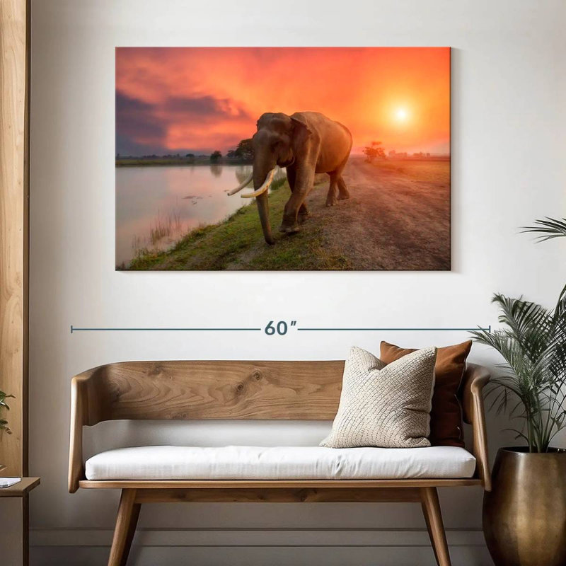 Éléphant de Surin, Thaïlande, H 32 po x l 48 po