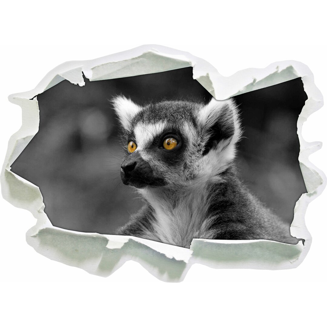 Aufmerksamer schöner Ringelschwanz Lemur Wandaufkleber