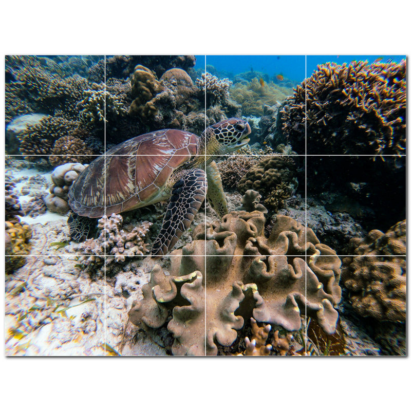 4,25 x 4,25