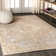 Virgil Modern Ornate Medallion Gray/Brown Rug