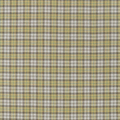 Fenton Check Fabric