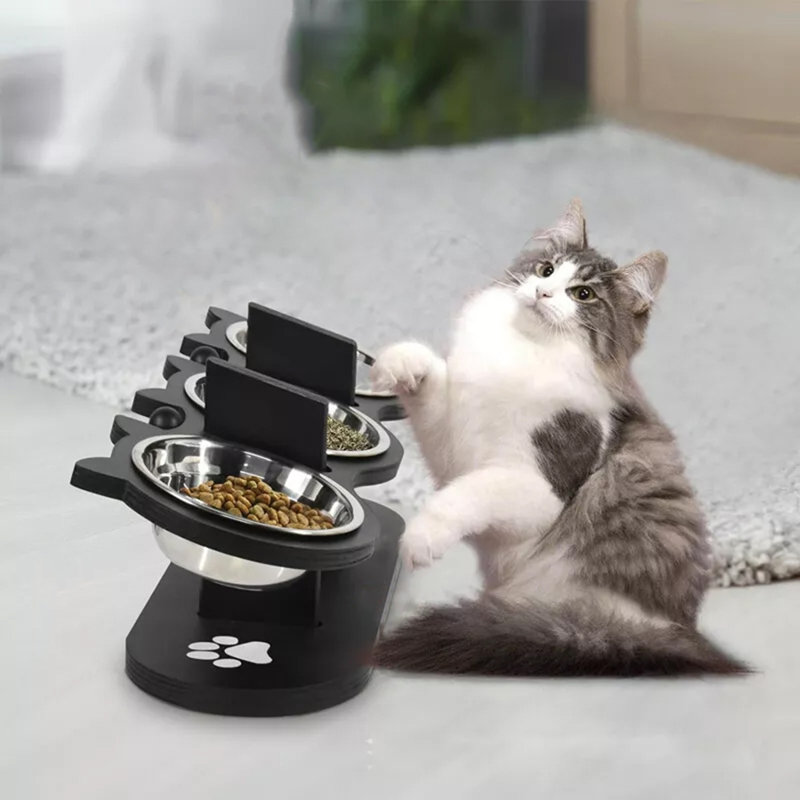 Elevated Feeder