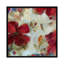 «Hummingbird II», impression sur toile-31864639-73198638-73198639