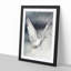 Flying Dove - Framed Print-55576393-55576397