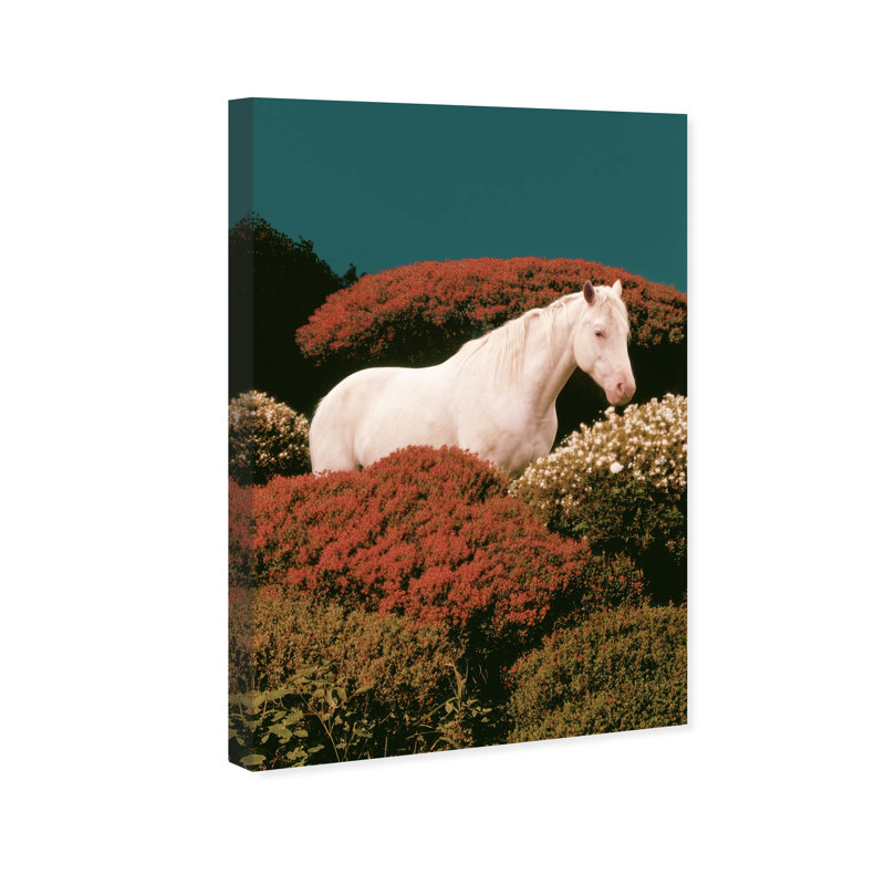 The Prince Print by Oliver Gal, 10"H x 15"W, Gallery Wrapped