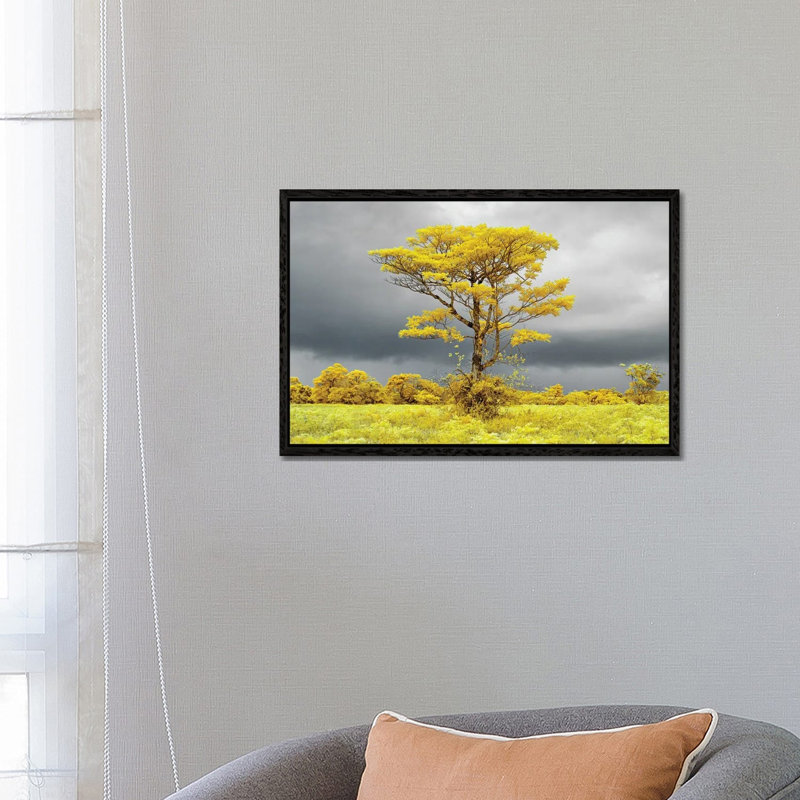 Lonely Tree On The Field #2 by Glauco Meneghelli - Floater Frame Gallery-Wrapped Canvas Giclée on Canvas
