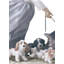 Puppy Parade Girl with Dogs Figurine