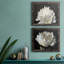 ALL AFLUTTER - ensemble de 2 reproductions-1761994154-1778156575-1778156557