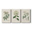 Antique Turpin Botanical VII - Ensemble de 3 peintures sur toile tendue-569950440